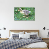 Gosling Canvas Afdruk (Insitu (Slaapkamer))