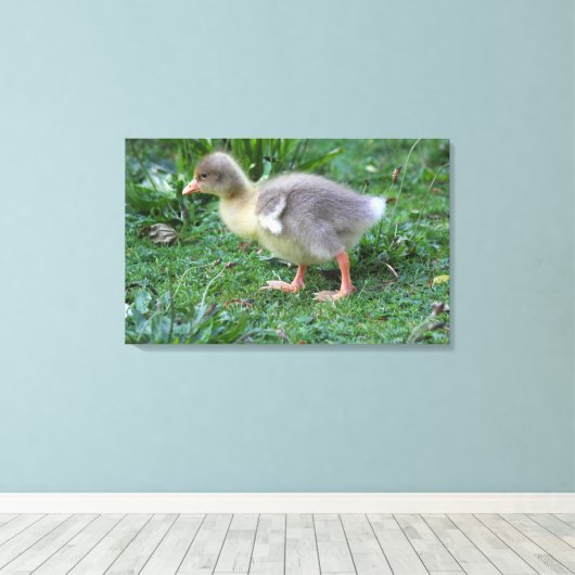 Gosling Canvas Afdruk (Insitu (Houten vloer))