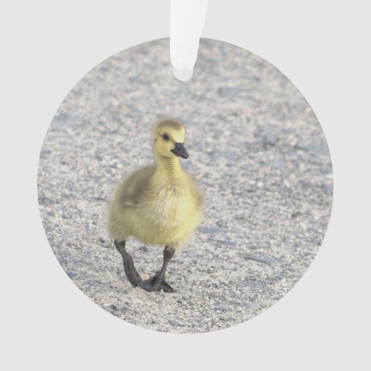 Gosling Foto Ornament (voorkant)