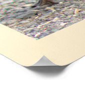 Gosling Foto Poster (Hoek)