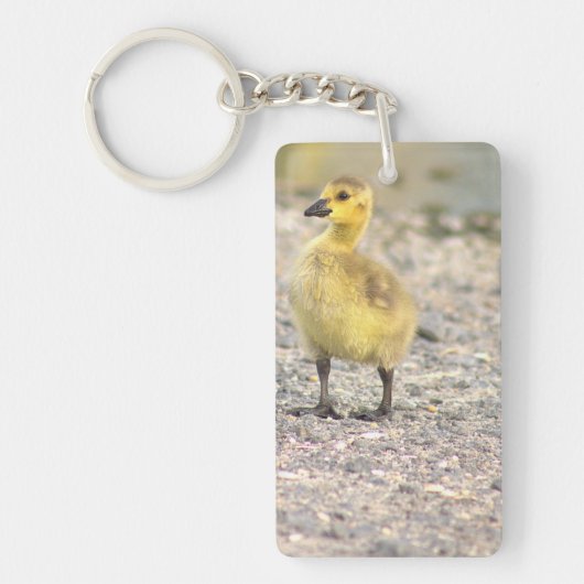 Gosling Foto Sleutelhanger (Voorkant)