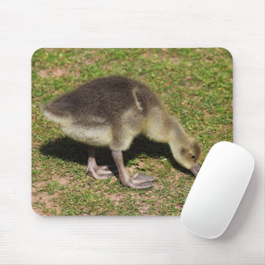 Gosling Muismat (Met muis)