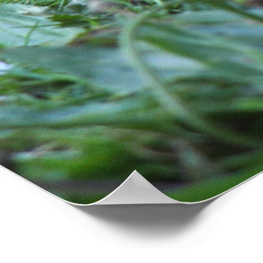 Gosling Poster (Hoek)