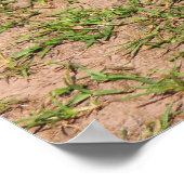 Gosling Poster (Hoek)