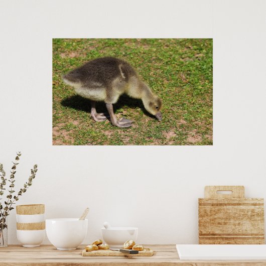 Gosling Poster (Keuken)