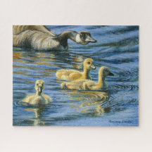 “Gosling Round-Up”