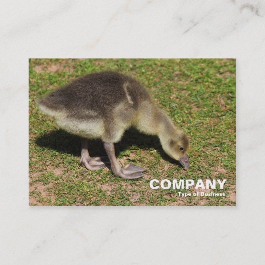 Gosling Visitekaartje (Voorkant)