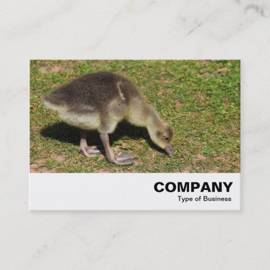 Gosling Visitekaartje (Voorkant)