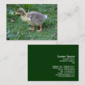 Gosling Visitekaartje (Voorkant / Achterkant)