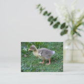 Gosling Visitekaartje (Staand voorkant)