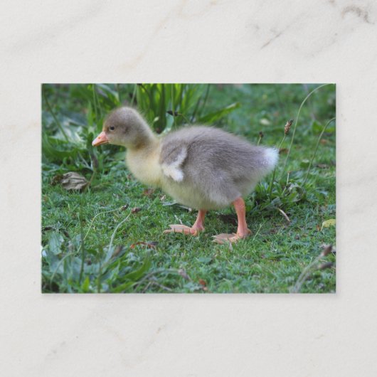 Gosling Visitekaartje (Voorkant)