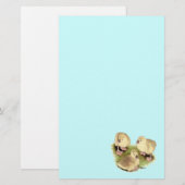 Goslings: Afrikaanse Buff Briefpapier (Voorkant / Achterkant)