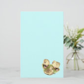 Goslings: Afrikaanse Buff Briefpapier (Staand voorkant)