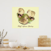 Goslings: Afrikaanse Buff Poster (Keuken)
