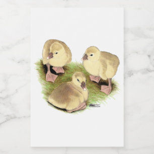 Goslings: Afrikaanse Buff Voedselcontainer Etiket