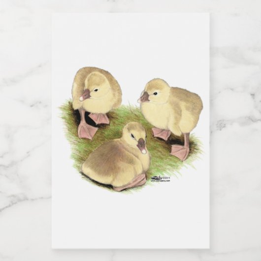 Goslings: Afrikaanse Buff Voedselcontainer Etiket (Enkel label)