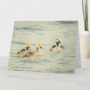 Goslings Baby Ganzen Grote Notitiekaart