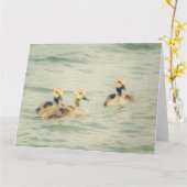 Goslings Baby Geese Big Note Card Kaart (Gele Bloem)
