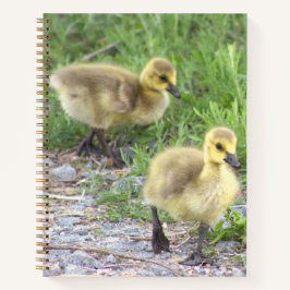 Goslings Foto Notitieboek