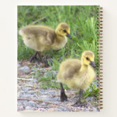 Goslings Foto Notitieboek (Achterkant)