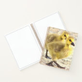 Goslings Foto Notitieboek (Binnen)