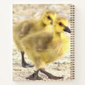 Goslings Foto Notitieboek (Achterkant)