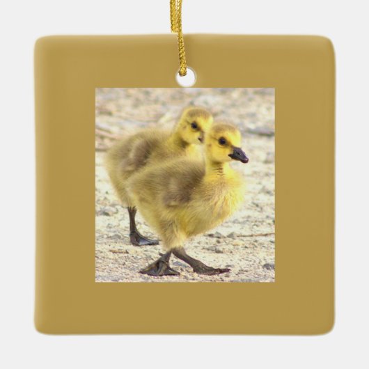 Goslings Foto Ornament (Voorkant)