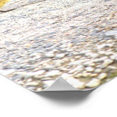 Goslings Foto Poster (Hoek)