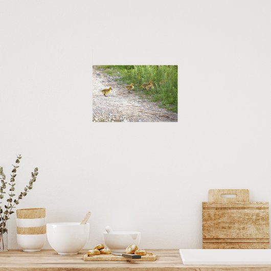 Goslings Foto Poster (Keuken)