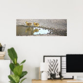 Goslings Foto Poster (Thuiskantoor)