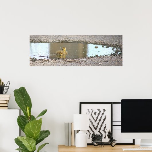 Goslings Foto Poster (Thuiskantoor)