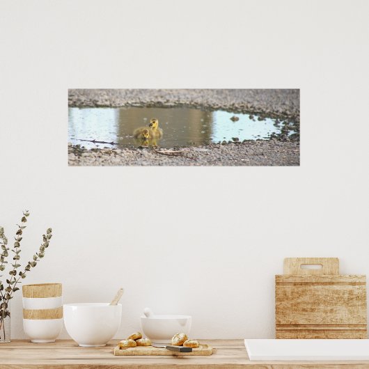 Goslings Foto Poster (Keuken)