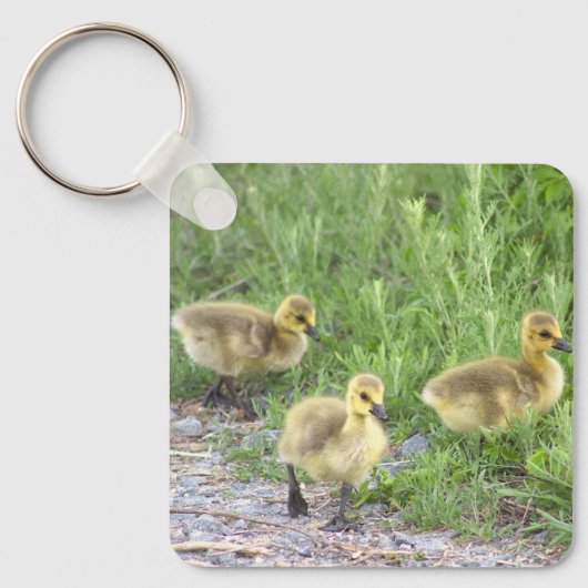 Goslings Foto Sleutelhanger (Voorkant)