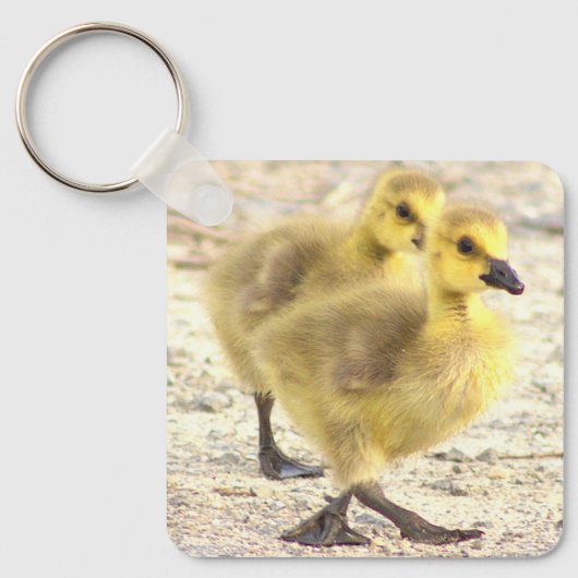 Goslings Foto Sleutelhanger (Voorkant)