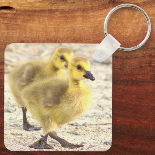 Goslings Foto Sleutelhanger (Achterkant)