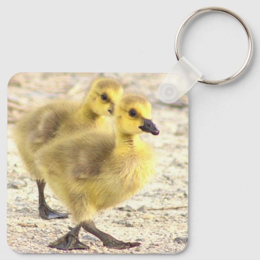 Goslings Foto Sleutelhanger (Achterkant)