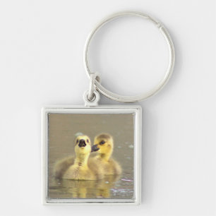 Goslings Foto Sleutelhanger