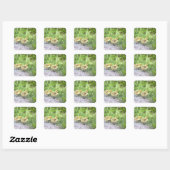 Goslings Foto Stickers (Vel)