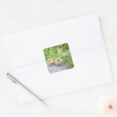 Goslings Foto Stickers (Envelop)