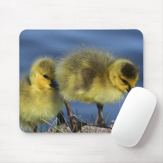 Goslings in de lente muismat (Met muis)