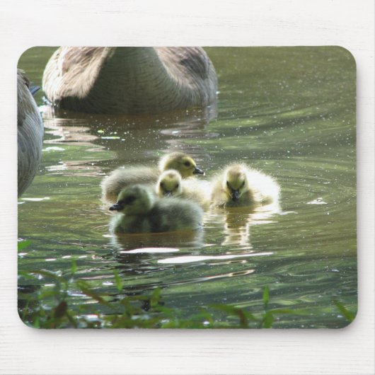 Goslings Mousepad Muismat (Voorkant)