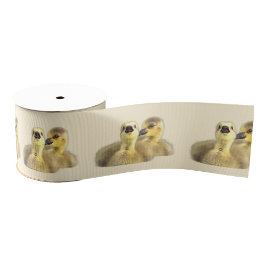 Goslings Photo Ribbon Grosgrain Lint