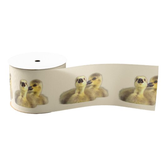 Goslings Photo Ribbon Grosgrain Lint