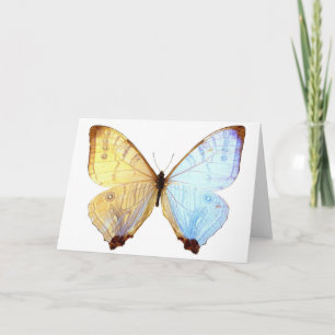 Gossamer Blue Butterfly Wings Note Birthday Kaart