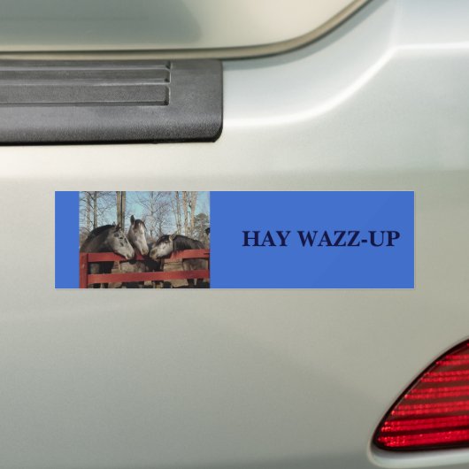 Gossip Corner, HAY WAZZ-UP Bumpersticker (Op auto)