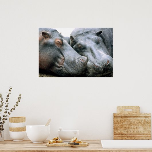 Gossip Hippopotamus Portrait Poster (Keuken)