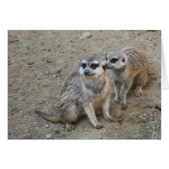 Gossip Kaart (Voorkant Horizontaal)