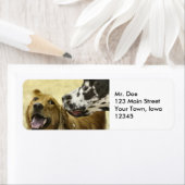 Gossip Return-adrestabellen Etiket (Insitu)