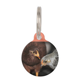 Gossip time pet-label huisdierpenning