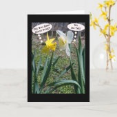 Gossiping Daffies Vriendschap Wenskaart Kaart (Gele Bloem)
